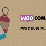 WooCommerce Pricing Plugins